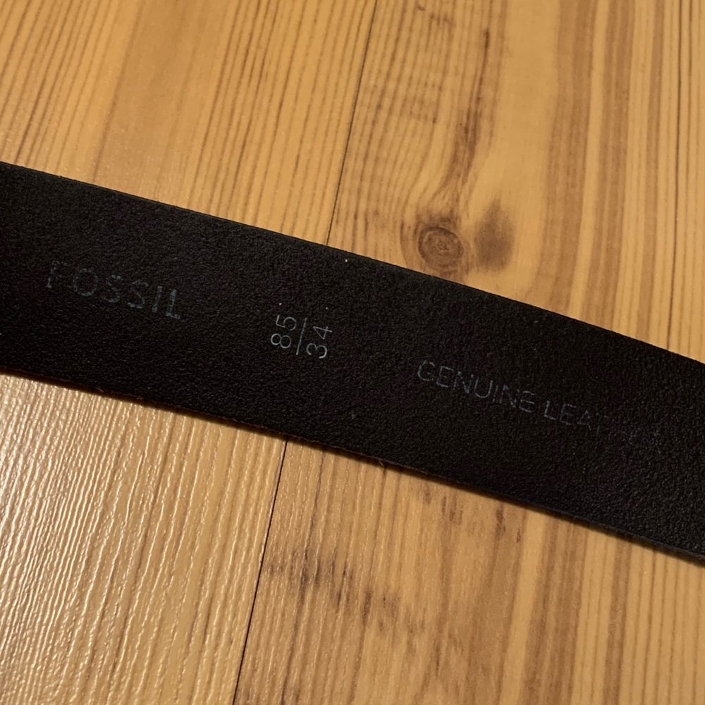 Fossil Belt Bundle - Picture 4 of 7